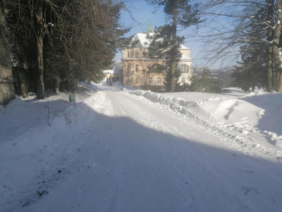 Hotel Vetrov Vysoké nad Jizerou Extérieur photo